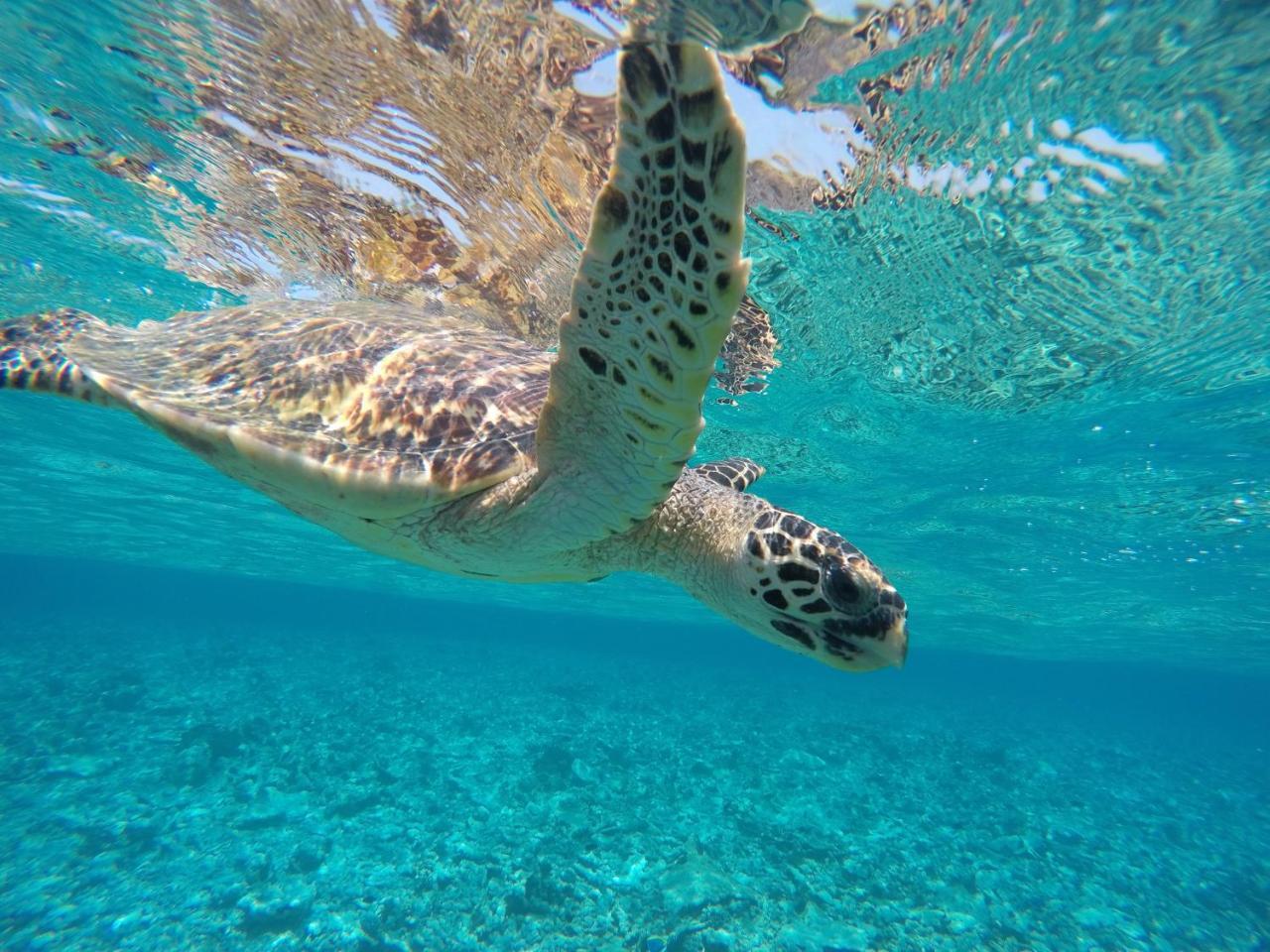 Koimala Beach Ukulhas Dış mekan fotoğraf