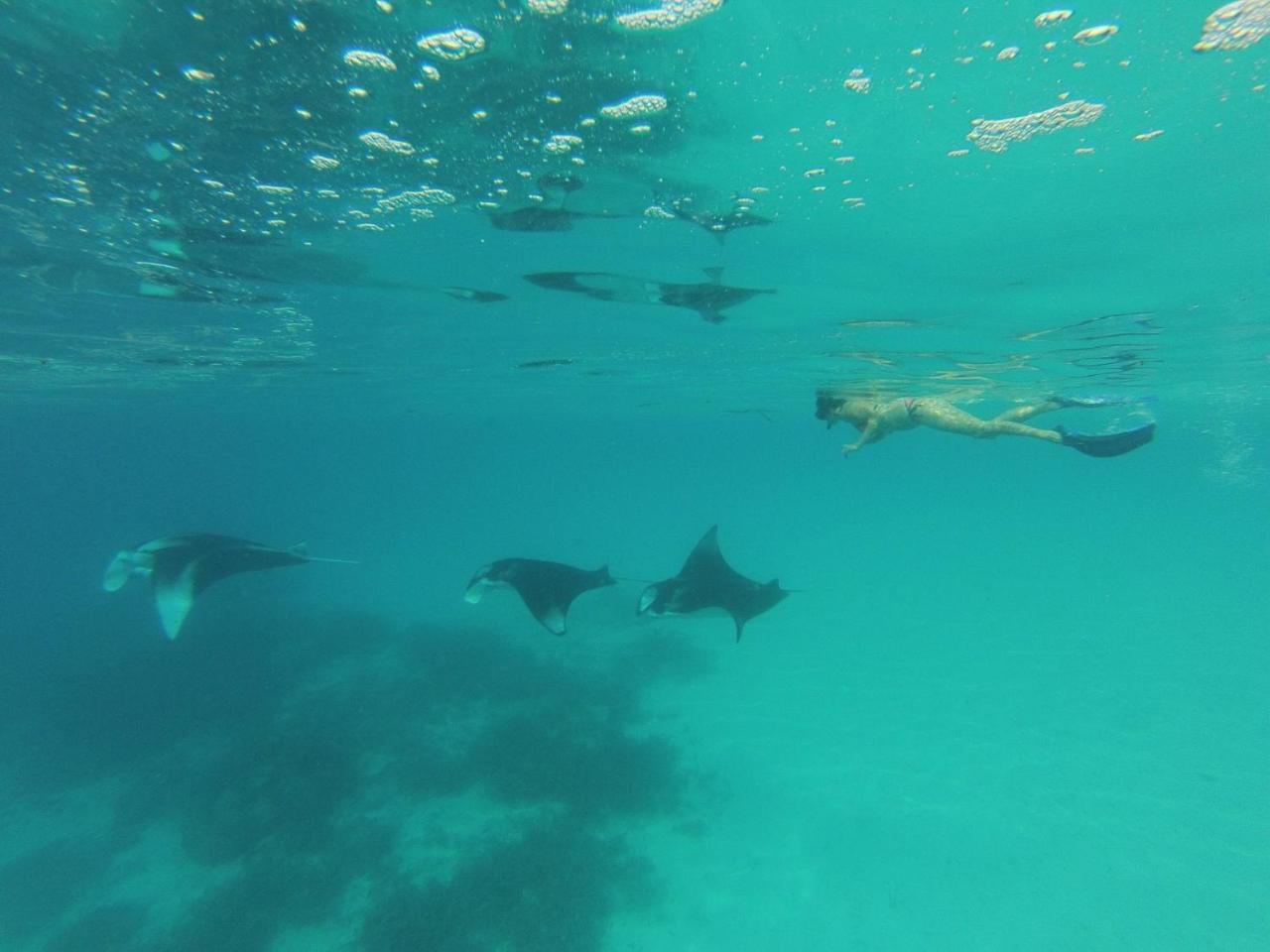 Koimala Beach Ukulhas Dış mekan fotoğraf